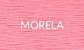 MORELA 2025.jpg