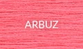 ARBUZ 2025.jpg