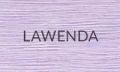 LAWENDA-2025.jpg
