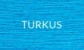 TURKUS 2025.jpg