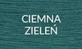 CIEMNA ZIELEŃ 2025.jpg