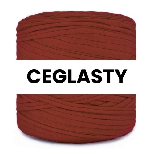 T-shirt Yarn Cotton Spaghetti / ceglasty