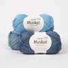 DROPS Muskat 02, 36, 76