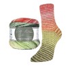 Włóczka skarpetkowa Rellana 4-fach Perfect Rainbow / 3123