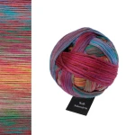 Włóczka Schoppel Wool-Schwestern 2648 / Clara