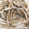 Włóczka Stenli Wool Shake 05 / beż i brąz