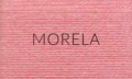 10_morela_kokonki.jpg