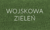 wojsk3.PNG