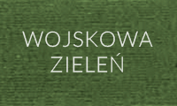 wojsk3.PNG