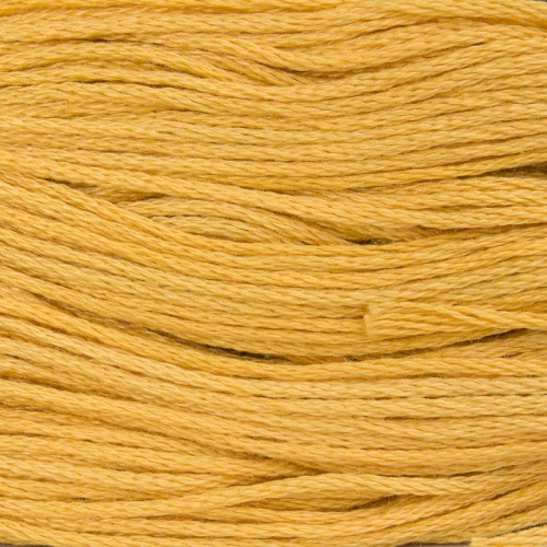1726 mulina ariadna.jpg