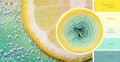KOKONEK B036 Fresh! - Intensywny żółty/wanilia/jasna pistacja/mięta/patyna