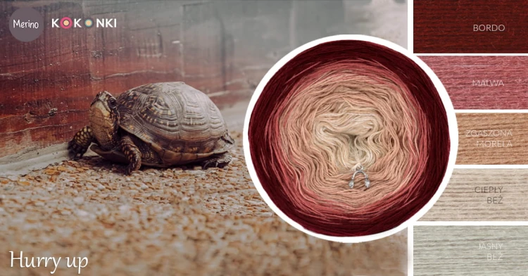 KOKONEK Merino 630 Hurry up - Bordo/malwa/zgaszona morela/ciepły beż/jasny beż