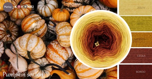 KOKONEK Merino 632 Pumpkin season - Żółty/złoty/miodowy/cegła/bordo