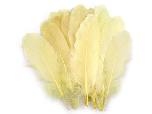 Pióra gęsie / biało-żółty / 12-21 cm / 20 szt.