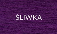5 ŚLIWKA