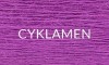 6 CYKLAMEN