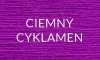 7 CIEMNY CYKLAMEN