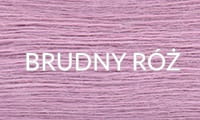 10 BRUDNY RÓŻ
