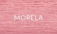 11 MORELA