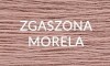 12 ZGASZONA MORELA