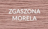 12 ZGASZONA MORELA