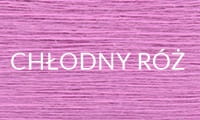 17 CHŁODNY RÓŻ