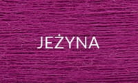 20 JEŻYNA