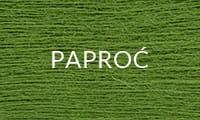 51 PAPROĆ