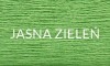 53 JASNA ZIELEŃ