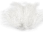 Pióra strusie 9-16 cm / biel / 20 sztuk / 150437 