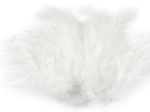 Pióra strusie 9-16 cm / biel / 20 sztuk / 150437 