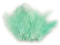 Pióra strusie 9-16 cm / mięta / 20 sztuk / 150437