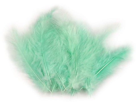 Pióra strusie 9-16 cm / mięta / 20 sztuk / 150437