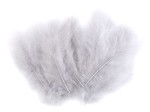 Pióra strusie 9-16 cm / mysi / 20 sztuk / 150437