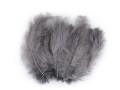 Pióra strusie 9-16 cm / średni szary / 20 sztuk  / 150437