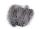 Pióra strusie 9-16 cm / średni szary / 20 sztuk  / 150437