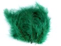 Pióra strusie 9-16 cm / zieleń / 20 sztuk / 150437