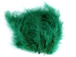 Pióra strusie 9-16 cm / zieleń / 20 sztuk / 150437
