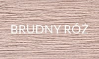 BRUDNY RÓŻ