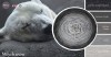 KOKONEK Merino 602 MIX Miłych snów - Ciemny szary melanż/ciemny szary/średni szary/szary/jasny szary