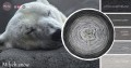 KOKONEK Merino 602 MIX Miłych snów - Ciemny szary melanż/ciemny szary/średni szary/szary/jasny szary