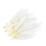 Pióra kacze / biel / 9-14 cm / 20 szt / 160329
