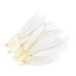 Pióra kacze / biel / 9-14 cm / 20 szt