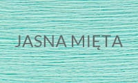 JASNA MIETA