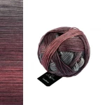 Włóczka Schoppel Gradient 2402 / Aldebaran