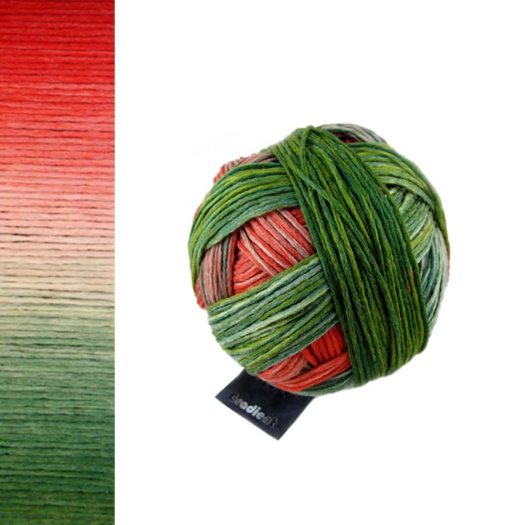 Włóczka Schoppel Gradient 1701 / Parrot