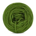 KOKONEK Merino Mono jeden kolor - paproć / 250m