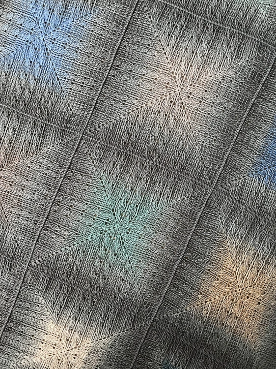 65364.jpg