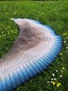 anna urbaniak, dandelion,2000m, 4nitki