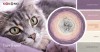 KOKONEK Classic B150 Purr friend - Blady fiolet/brudny róż/łososiowy róż/krem/szarobeżowy